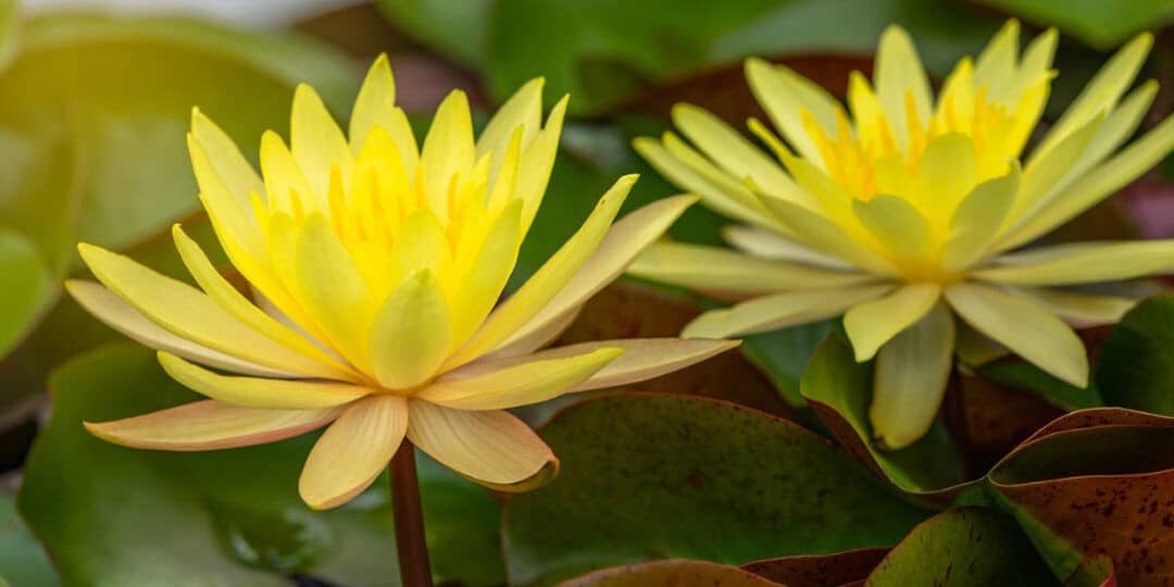 It’s The Season Of Giving