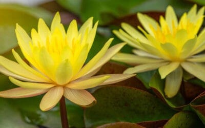 It’s The Season Of Giving