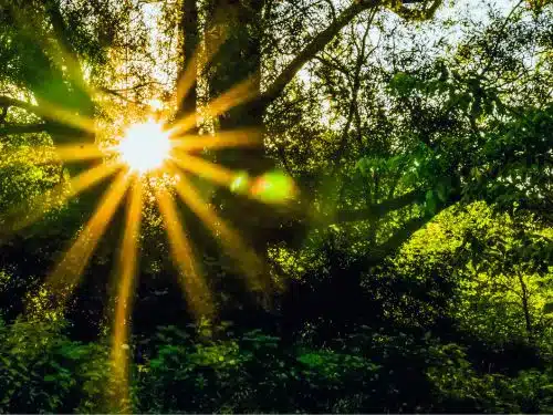 Women's Grief Retreats