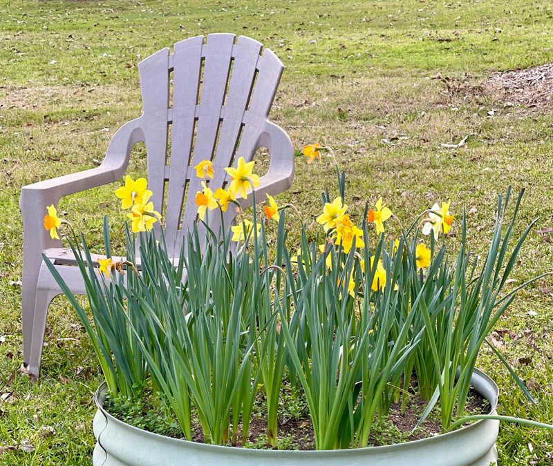 A Brief Anatomy of  Grief & Loss