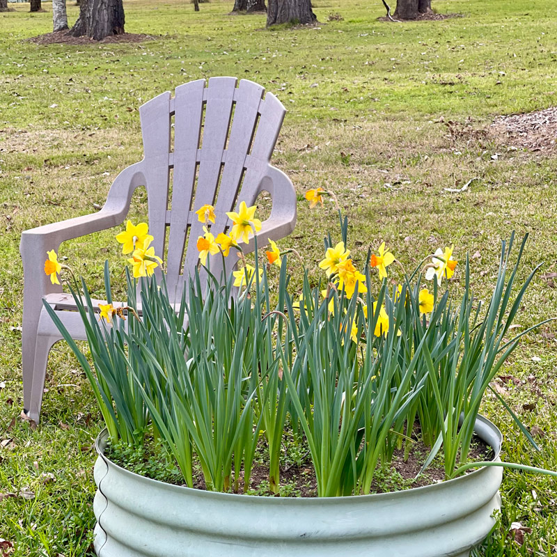 A Brief Anatomy of Grief & Loss