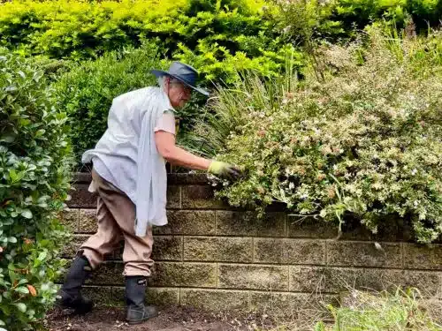 Women's Healing Sanctuary Volunteers