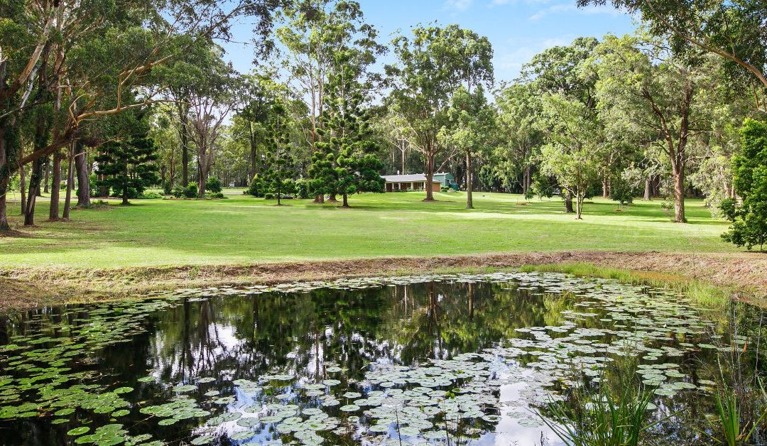 Healing Through The Seasons