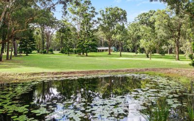 Healing Through The Seasons