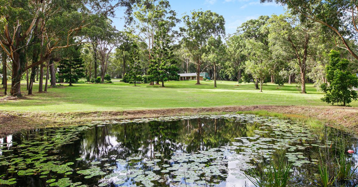 Healing Through The Seasons