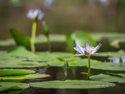 Women's Wellness retreat