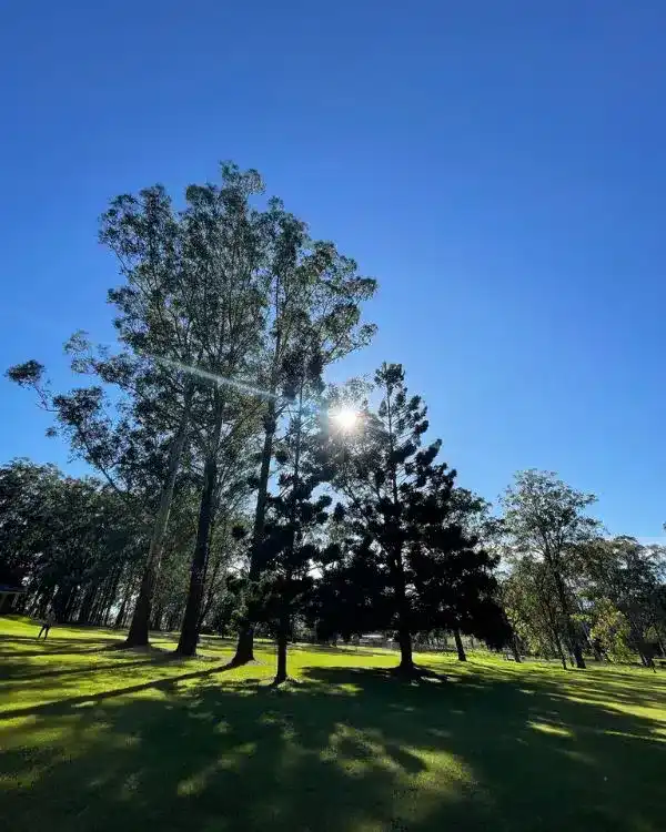 Women's Healing Sanctuary grounds