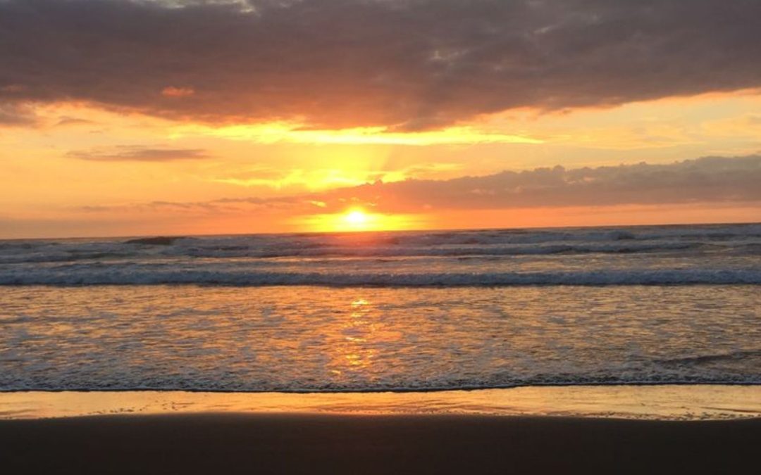 Observations Of Grief